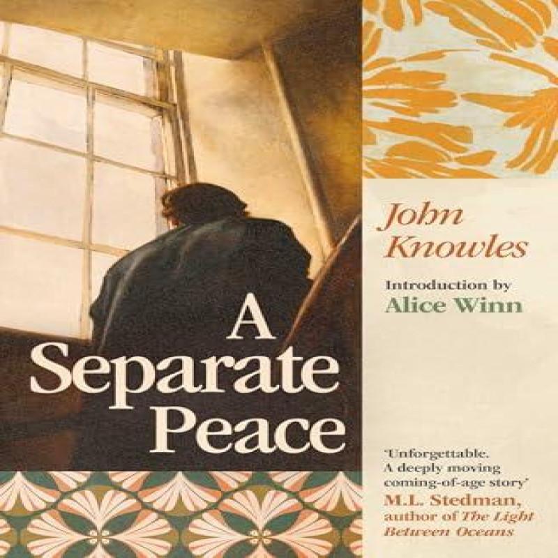 A Separate Peace by John Knowles Paperback Book 9781398550698