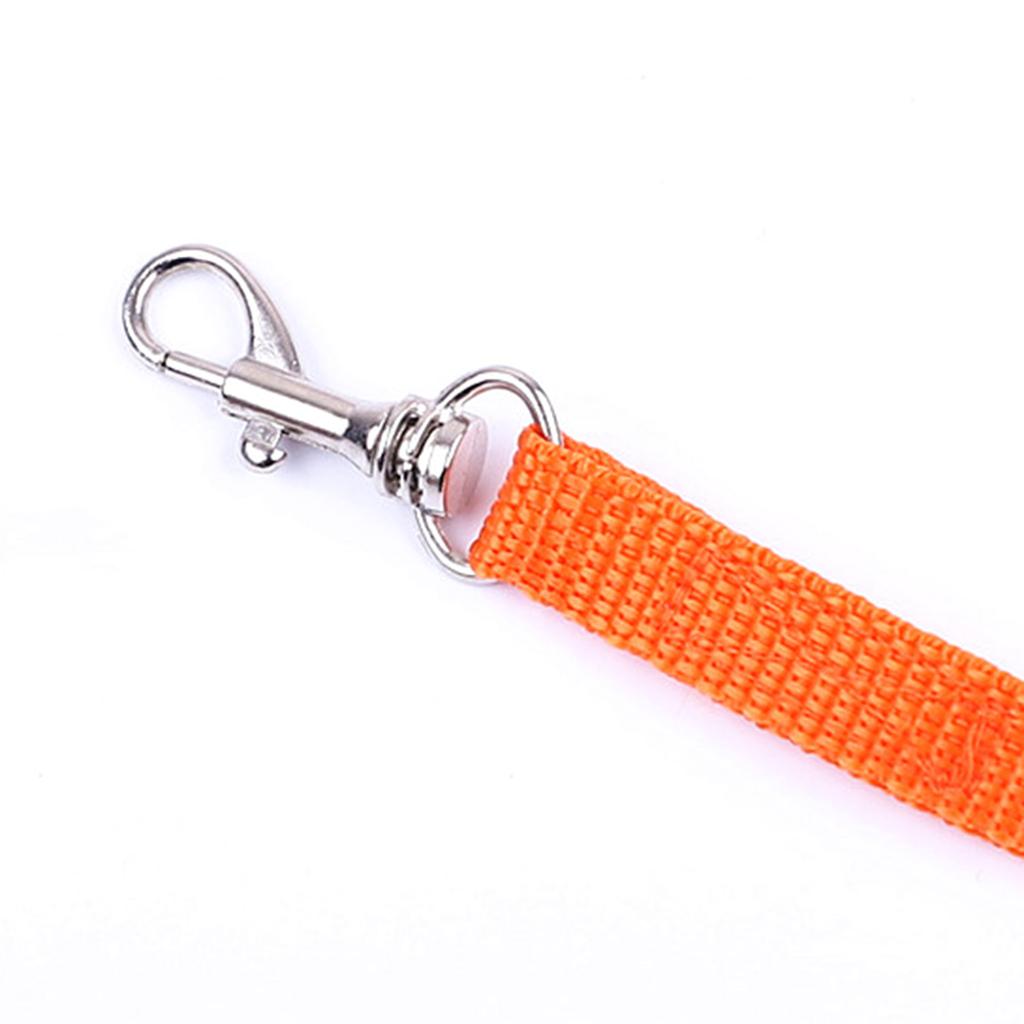 Rabbit Harnesses Small Animal Harness and Leash Set No Escape Adjustable Cute Costume for Hamster Bunny Guinea Pig