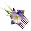 Temperament Plumeria Hair Comb Elegant Bohemian Style Hair Clip Fashion Side Clip Hair Clip  Beach