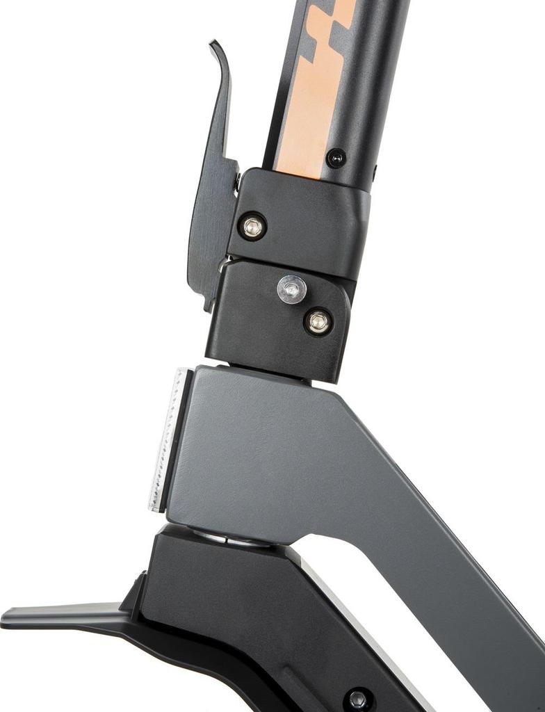 KuKirin G2 Adult Electric Scooter, 800W Rated Motor, 48V 15Ah Battery, 45km/h Max Speed, 10in Vacuum Tire, Folding Design, IP54 Waterproof