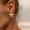 Simulated Starfish Ear Studs Summer Beach Ear Jewelry Exquisite Small Star Earring  for Women