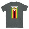 Üst giysisi – T-shirtler