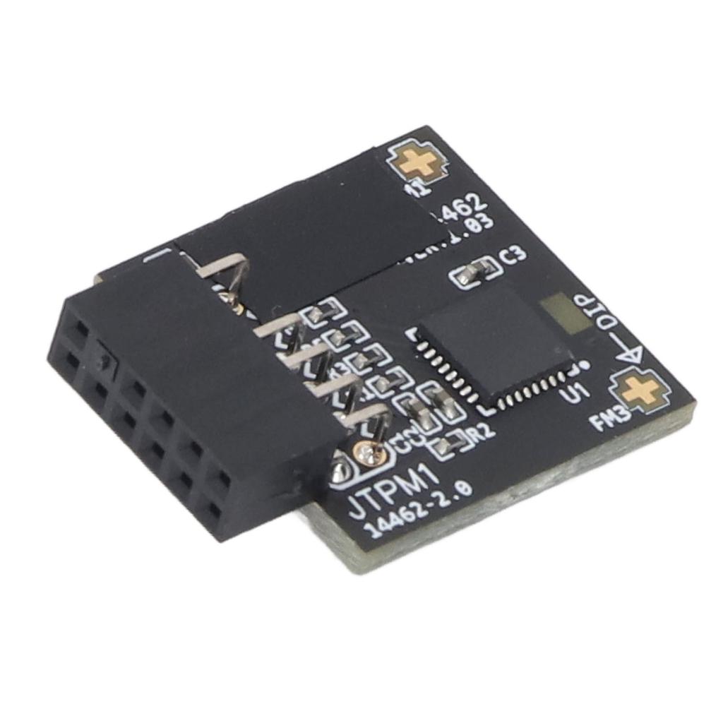 TPM2.0 Module TPM SPI 12Pin Module with SLB 9670 Security Module for Windows 10 11 Motherboards