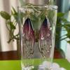 Fairy Clear Butterfly Drop Earrings Gradient Resin Dangle Earrings Bling Foil Rhinestone Simulation Wing Earring