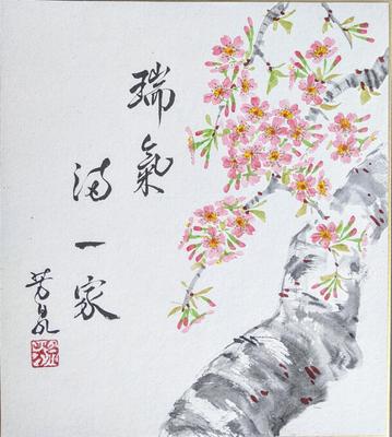 Miki Hosen Shikishi Picture (27.3x24.2cm) "Cherry Blossoms" A Family Filled with Good Fortune (Zuiki Ikka Ni Mitsu) Auspicious Energy Means Good Fortu