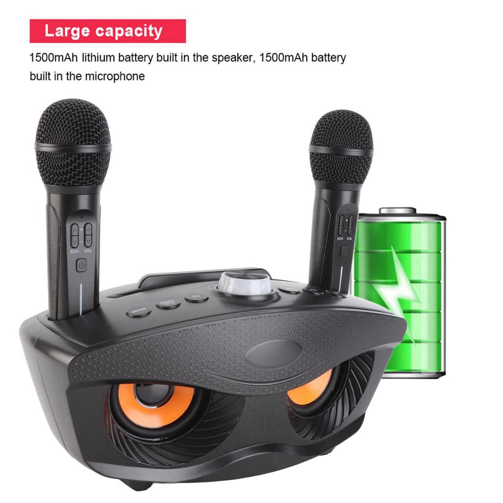Bluetooth Speaker Home KTV Karaoke Bluetooth Speaker with Two Microphone (Black)