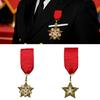 Retro Look High Rank Glowing Star Brooch Alloy Badge Pin Excellent For Armed Forces Theme Gatherings Present