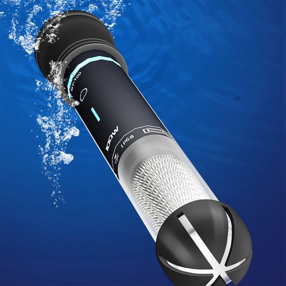 Regulacja Temperatury Grzałka Akwariowa Termostat Grzałka Kontrola Temperatury Wody