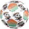 Ronaldo's Football Legend Celebration Size 5 Football Machine Sewn Indoor/Outdoor Universal Football Soccer Accessory