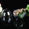 Transparent Egg-Shaped Makeup Sponge Storage Box
