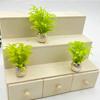 5Pcs Simulation Miniature Garden Scene Decor 1:12 Dollhouse Mini Potted Plants Green Plants Model Courtyard Accessories