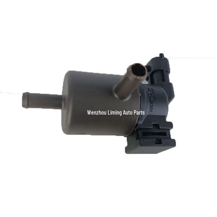 Carbon Canister Solenoid Valve 28910-3F700 for Hyundai/Kia