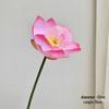 3D Printed Chinese Style Lotus Flowers: Artificial Lotus Leaves & Pods for Decoration & Photography Props