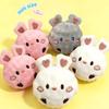 Bite Resistant Plush Dog Toy Ball Bunny Shape Dog Training Toy Ball Puppy Squeaky Toy  Outdoor Play