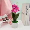 Flowers Faux Three Butterfly Orchid Green Plant For Home Office Decoration