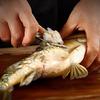5 In 1 Multifunctional Shrimp Line Fish Maw Knife Shrimp Peeler Stainless Steel Kitchen Fish Scale Planer Duck Intestine Tool