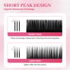 XIUSUZAKI Classic Individual Eyelashes Extensions Soft Natural Matte Black Classic Volume Lashes Extensions Supplier