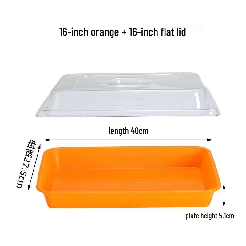 Stainless Steel Rectangular Food Display Tray with Lid