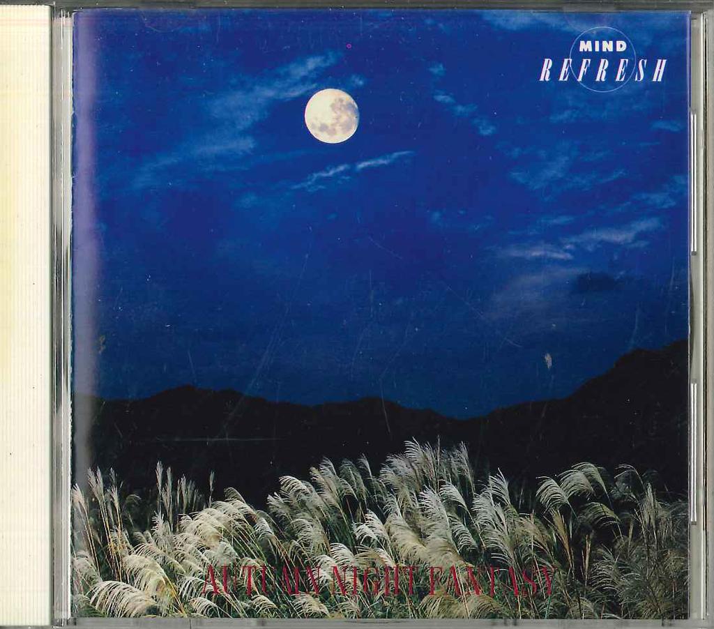 CD VARIOUS - Autumn Night Fantasy 32DG42 SONY Japan New Age & Easy Listening Used