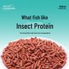 Fishing King Hellcat Fishing Bait Granules
