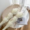 Lolita Lace Pagoda Princess Parasol - Elegant Wedding Umbrella with Long Handle, Goddess Sunshade, Cute Lolita Design, Sun Protection.