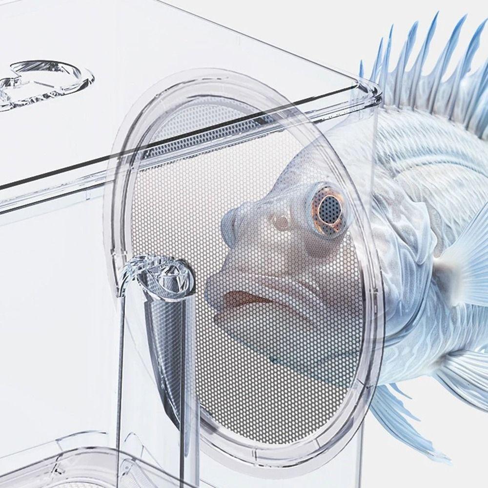 Pneumatic Fish Breeding Box Transparent Fish Isolation Box Suspended Incubator  Clownfish