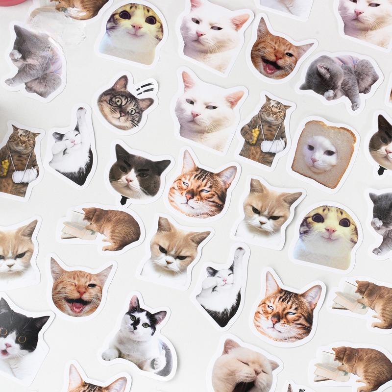 Autocolant drăguț de pisică Creative Kawaii Pisicuță neagră care se joacă Autocolant minunat de papetărie pentru album de însemnări decorative DIY