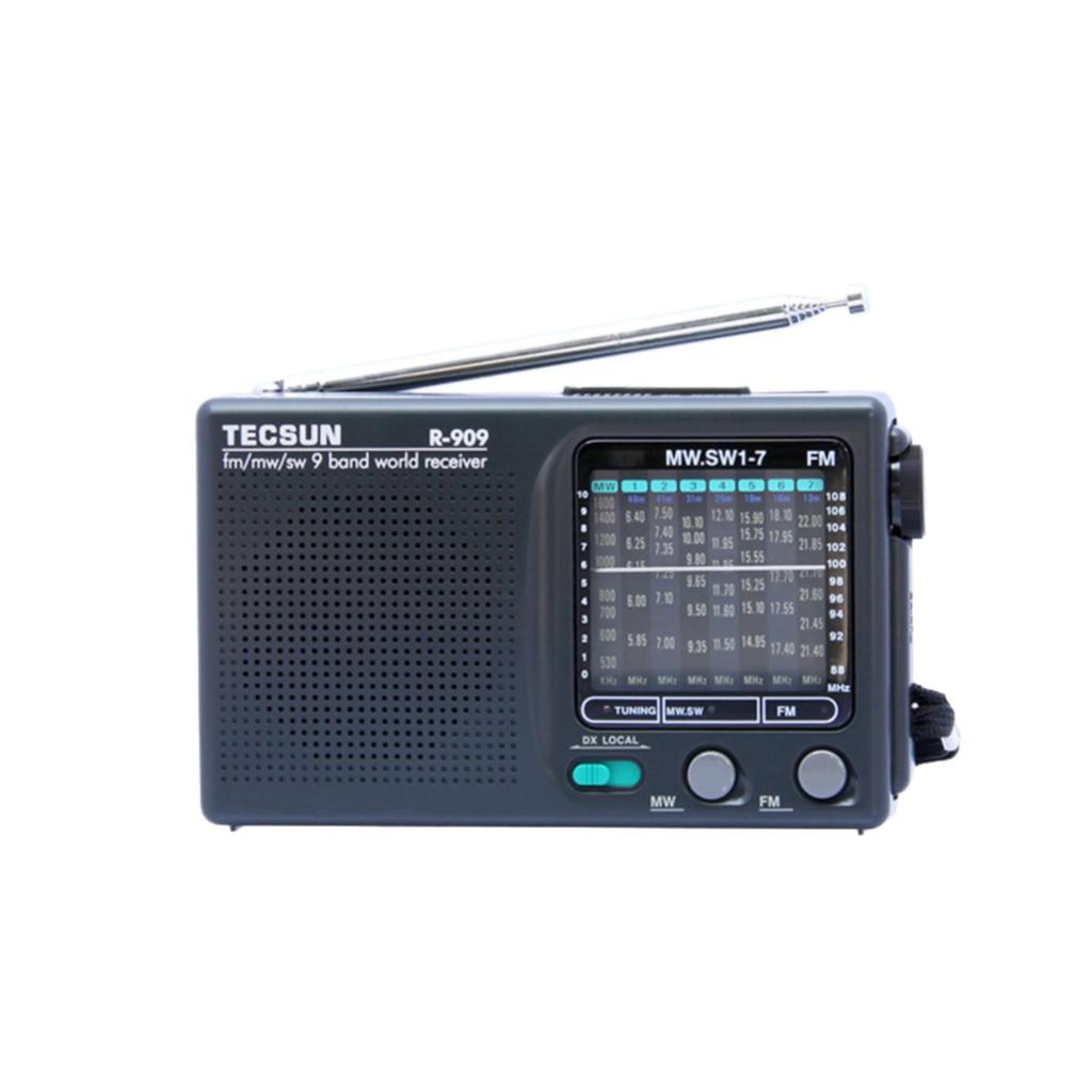 Desheng R-909 Retro FM Broadcast Portable Radio for Seniors