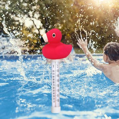 Floating Water Thermometer Pond for Indoor Outdoor