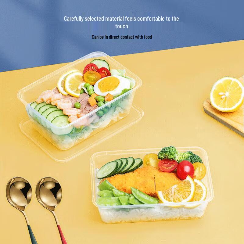 Disposable Takeout Food Containers with Lids
