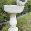 Concrete Bird Waterer with Decorative Column for the Garden