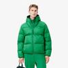 Men's Hooded Down Puffer BH7841-54NLDM