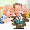 Sea Glass Display Box Sea Turtle Shaped Storage Box Coastal