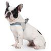 Adjustable Dog Harness For Small Medium Dogs Cats Reflective Dogs Vest Harnesses Puppy Chest Strap Pug Pet Chihuahua Supplies