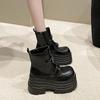Fashion New Women's Leather Ankle Boots Autumn Winter 10CM Heels Chunky Sneakers Short Boots Woman Zip Motorcycle High Platform Botas