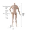 Joint Movable Male Model 31cm Height Action Figure Body Play House 1/6 Male Body  DIY Toy