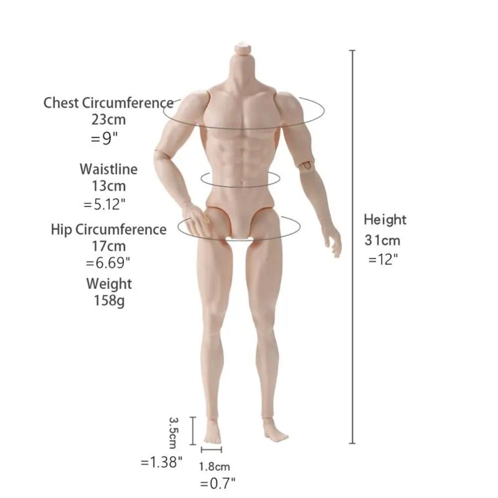 Joint Movable Male Model 31cm Height Action Figure Body Play House 1/6 Male Body  DIY Toy