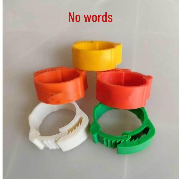 Color-Selectable Laser-Engraved Poultry Foot Rings with Free Shipping