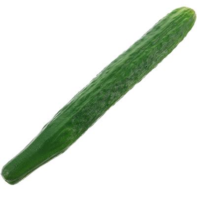 Simulated Cucumber Ornaments Artificial Vegetables Simulation Green Faux Decoration Lifelike Cucumber Model Plastic Cucumber