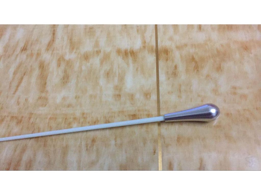 Elegant Gold and Silver Concert Conductor Baton