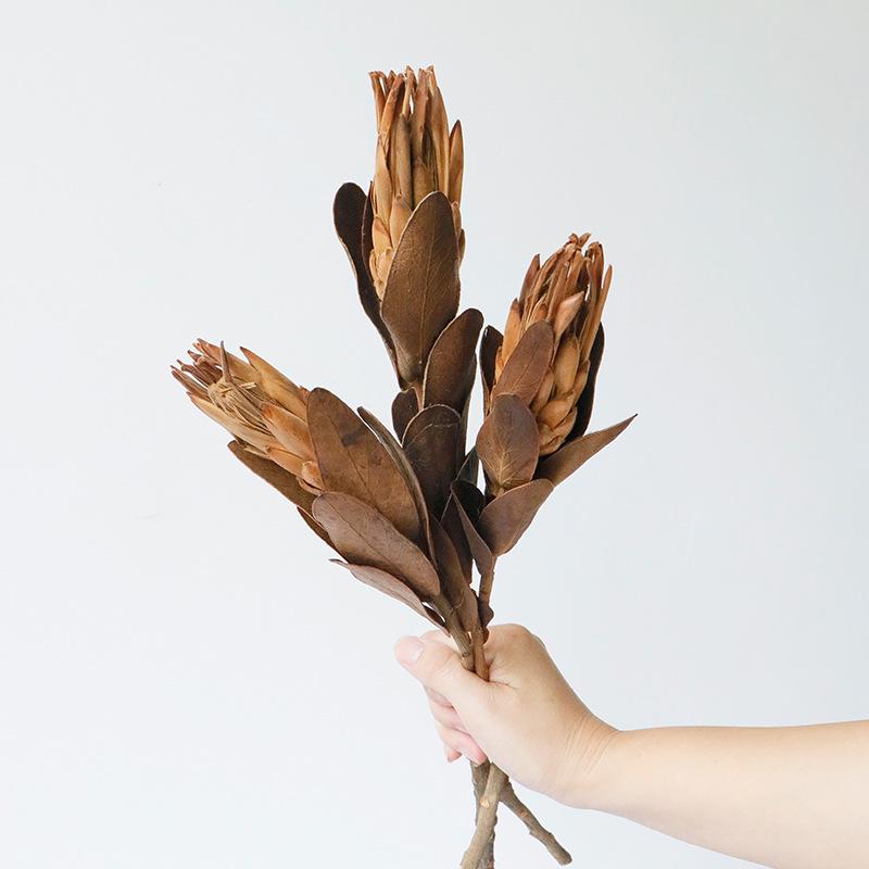 High-End Wabi-Sabi Dried Flower Decor: Natural Reeds & Wheat for Living Room or Homestay.