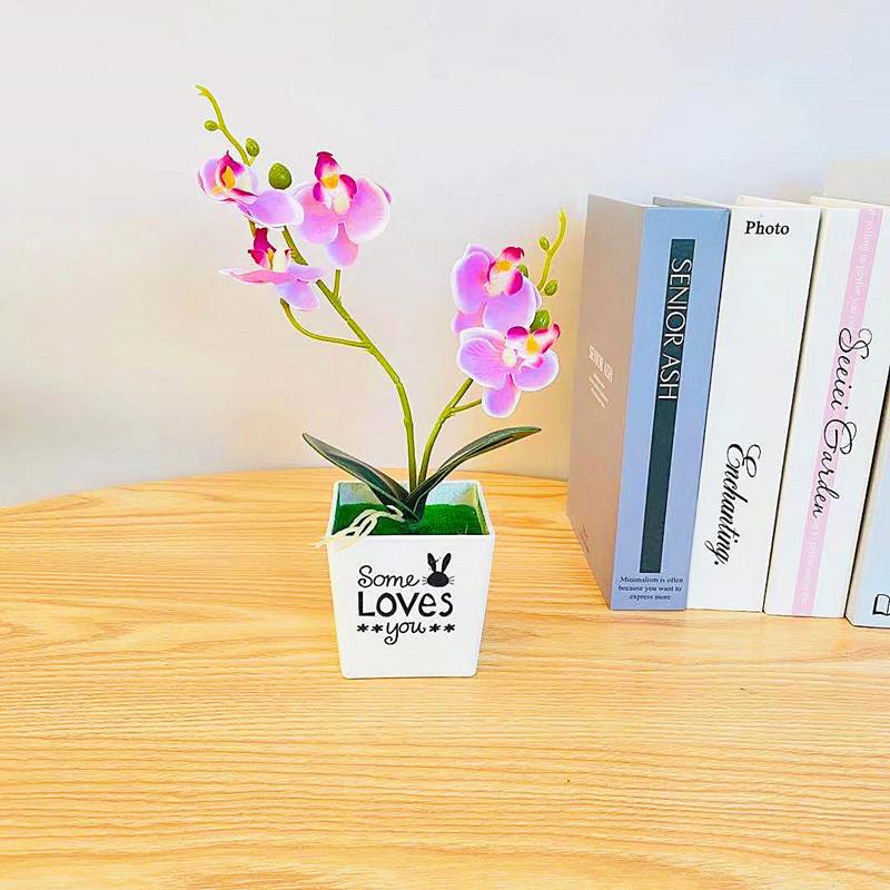 Aphrodite Faux Phalaenopsis Potted Plant 3d Printing Design For Decor Indoor