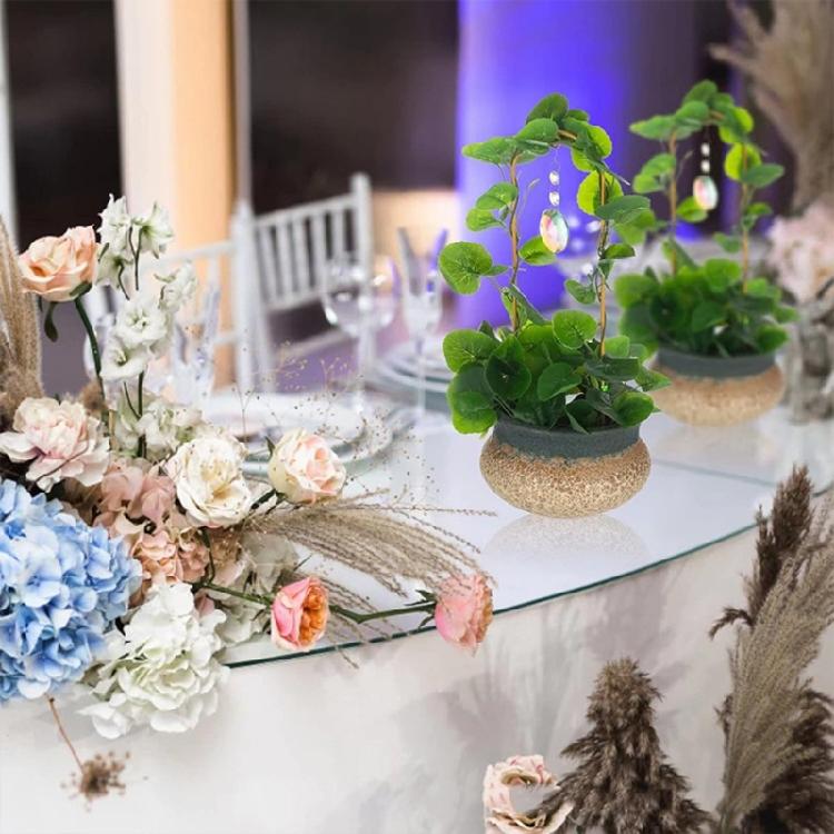 Trelli Flowers Stand Cage Tree Garden Plant Support Home Plant Care Soil Arrangement for Indoor Display