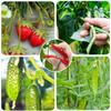 Finger Sickle Harvesting Knife Curved Blade, Gardening Pruning Tool Fruit Grape Picking Ring One-Hand Garden Snip