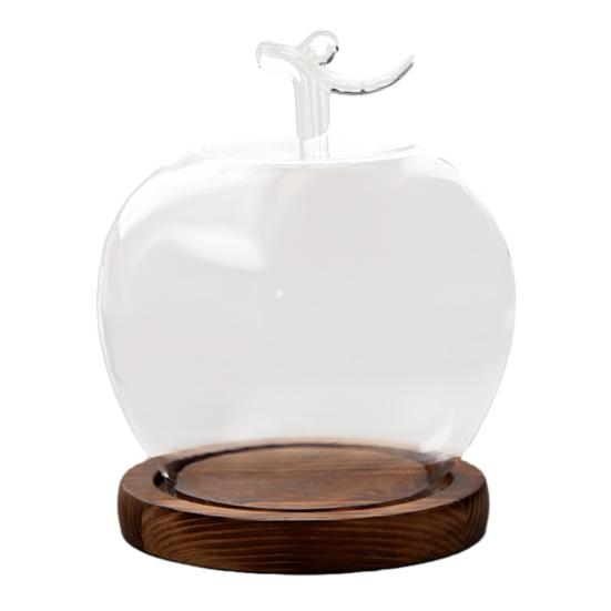 Glaskupa med träbas Klar glaskåpa Dammtät Dekorativ visningskupa för konserverade blommor Miniatyrer Smycken