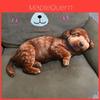 Plush Dog And Cat Animal Pillow With Pp Cotton Filling For Kids And Teens Comfort Toys