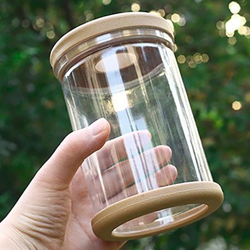 Low Maintenance Hydroponic Planter Tabletop Vase with Breathable Materials for Succulents Bonsais Busy Plant Enthusiasts