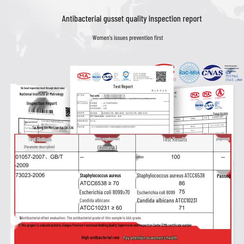 YaLu Women's Plus Size Cotton Antibacterial Underwear 3-Pack