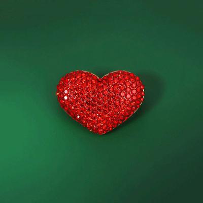 Broş & Vücut Takıları