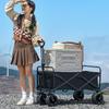 Outdoor Camping Folding Cart